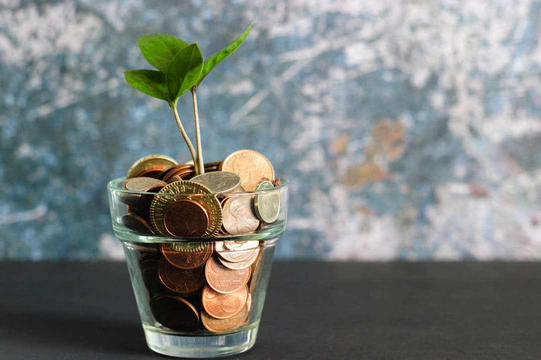 Investimentos para iniciantes